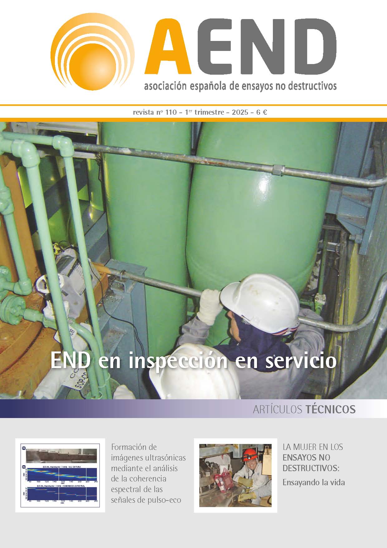 Revista nº 110